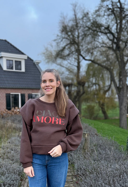 Lizzy sweater bruin